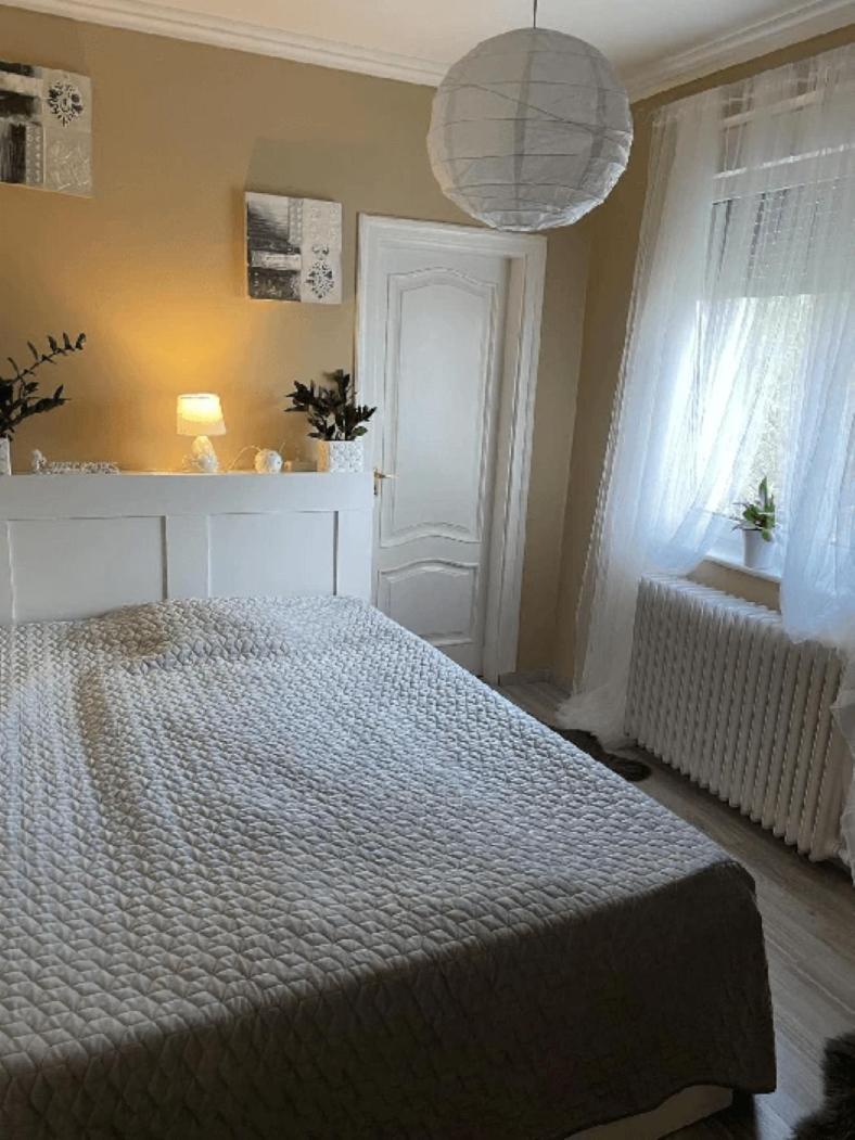 Pava Panzio Bed & Breakfast Soltvadkert Exterior photo